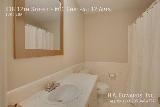 Chateau 12 Apartments property image